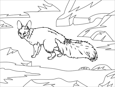 Blanford'S Fox Coloring Page